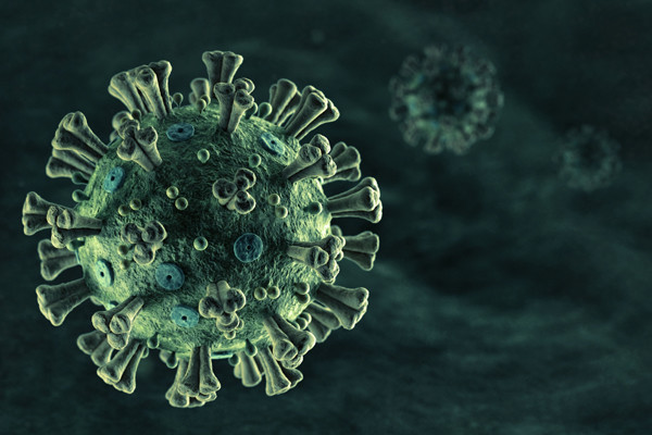 전문가들은 신종 코로나바이러스가 기존 4종류의 코로나바이러스처럼 지역사회에 정착하거나 계절성 독감처럼 반복적으로 나타날 가능성이 있다고 전망했다.
