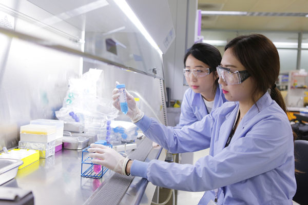 LGȭ�� ������������� ���������� ����򰡸� ���� �м������� �ϰ� �ִ�(LGȭ�� ����)