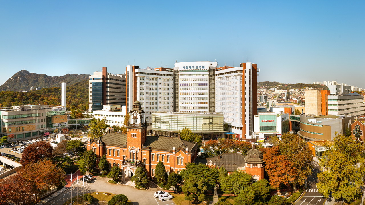 ����뺴�� ����(���� ����: ����뺴��).