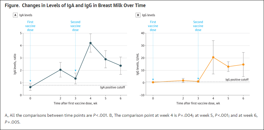 출처: JAMA 'SARS-CoV-2–Specific Antibodies in Breast Milk After COVID-19 Vaccination of Breastfeeding Women'