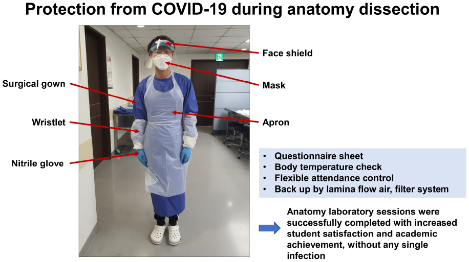 출처: JKMS 'Lessons from Cadaver Dissection during the COVID-19 Pandemic'