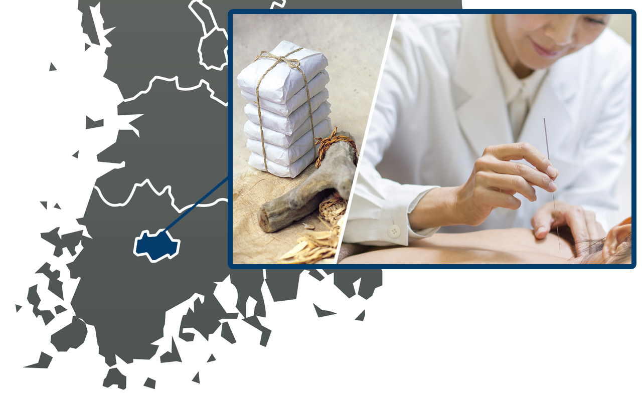 광주광역시에 개설된 한방병원은 총 87개소로 경기도 다음으로 많다. 지난 2019년까지는 광주시가 1위였다.