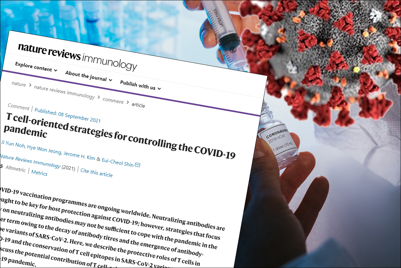 국내 의학자들은 ‘네이처 리뷰 면역학(nature reviews immunology)’ 온라인판에 T세포 면역에 초점을 맞춘 코로나19 팬데믹 대응 전략을 수립해야 한다는 기고문(T cell-oriented strategies for controlling the COVID-19 pandemic)을 발표했다.
