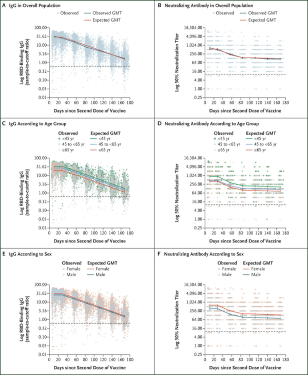 Distribution of Antibodies 6 Months after Receipt of Second Dose of the BNT162b2 Vaccine(출처: NEJM)