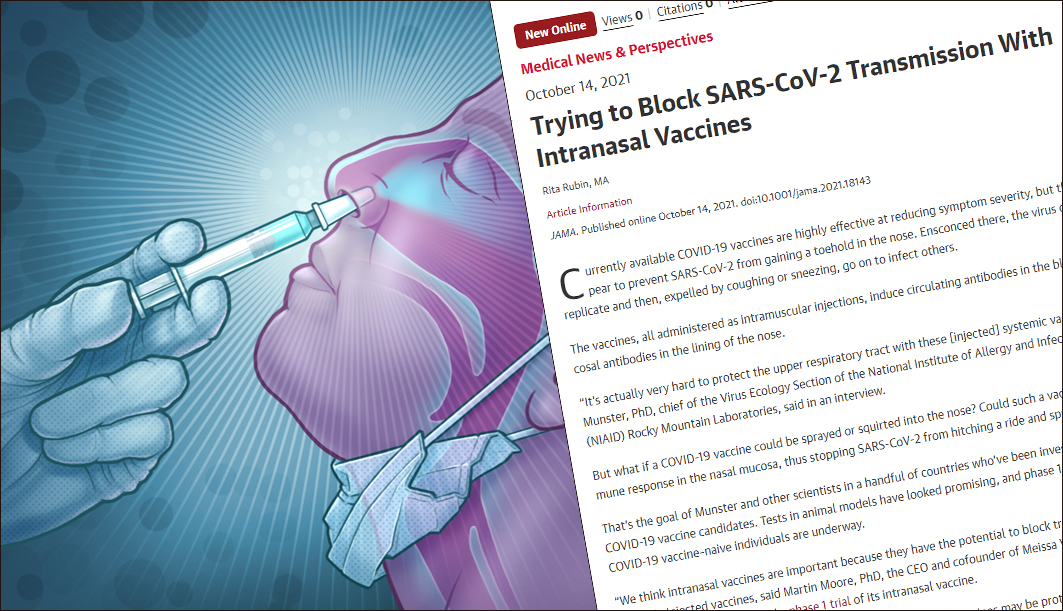 14일(현지시각) 국제학술지 JAMA(Journal of the American Medical Association)에는 'Trying to Block SARS-CoV-2 Transmission With Intranasal Vaccines'가 게재됐다. 