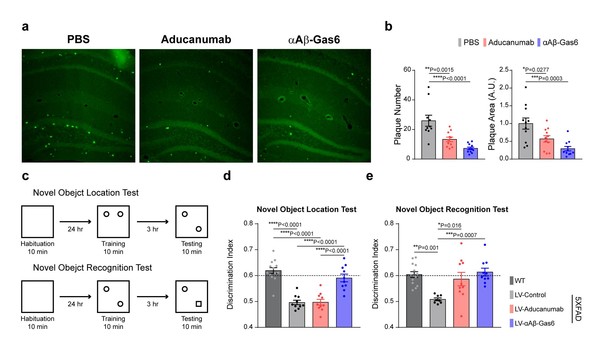 Aduhelm's new Alzheimer's treatment removes the aspect results of brain ...