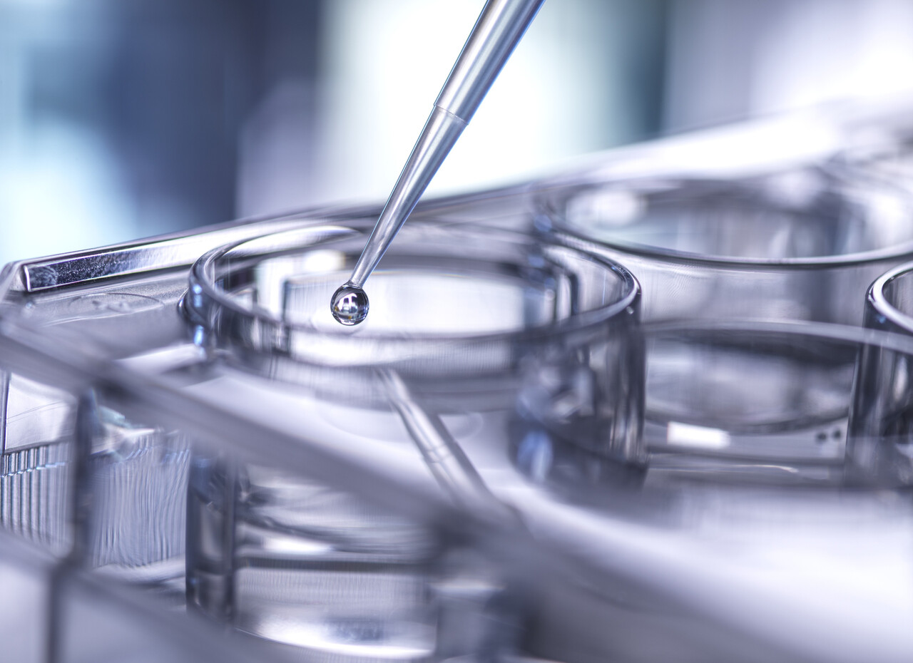 연구, 개발, 신약, 혁신, 약물, 제약, 바이오, 실험,