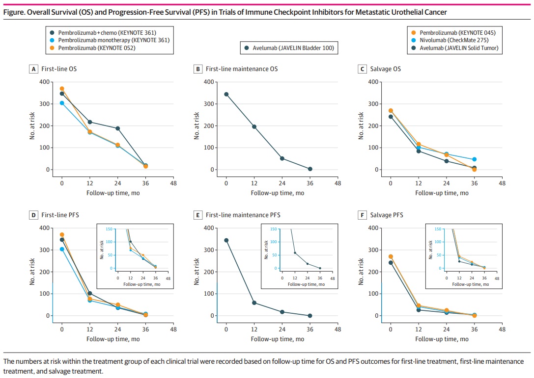 출처: JAMA Network Open 'Immune Checkpoint Inhibitors and Long-term Survival of Patients With Metastatic Urothelial Cancer'