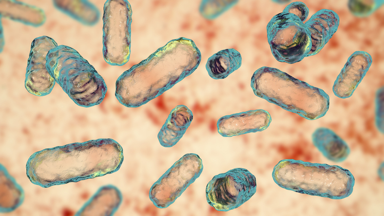 (이미지 출처: 게티이미지).