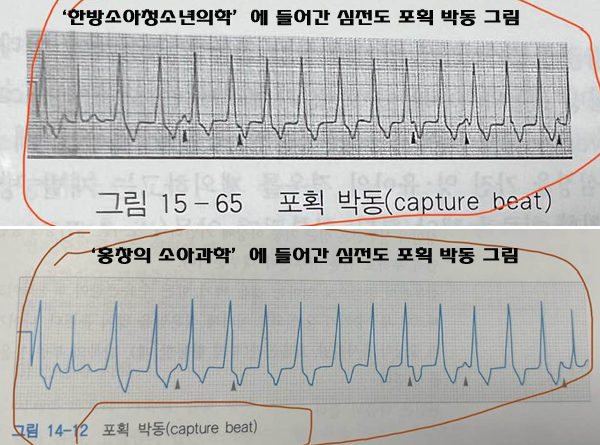 사진제공: 박인숙 전 의원 