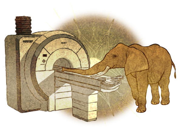 일러스트 이지현