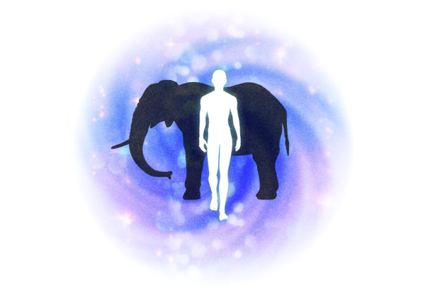 일러스트 이지현