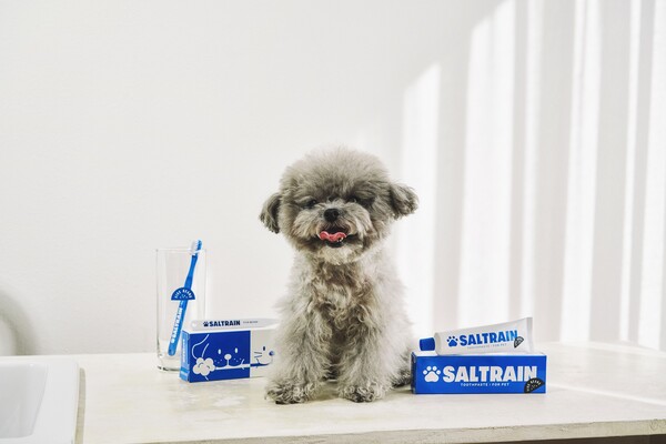 그린벳 파이브빈스 덴탈키트 관련 이미지.