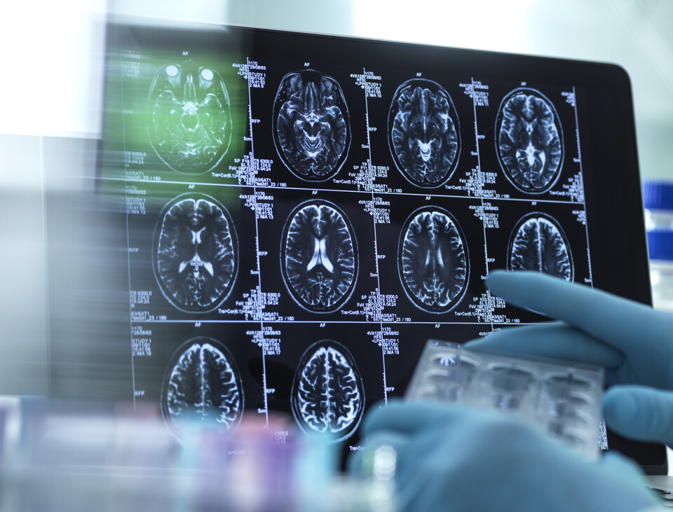 (이미지 출처: 게티이미지).