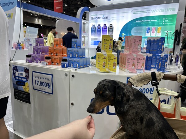 박셀바이오가 지난 17일부터 19일까지 3일간 경기도 일산 킨텍스에서 열린 반려동물산업 전시회 ’2024 메가주 일산’에서 골드뮨 보조제 바이트와 골드뮨 보조제 스틱을 선보였다.