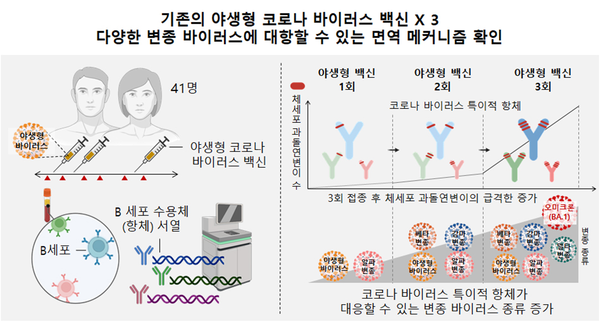 제공: 서울대병원