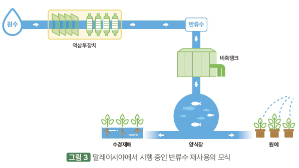 출처: 대한신장학회 ‘지속가능한 신장치료 권고안’