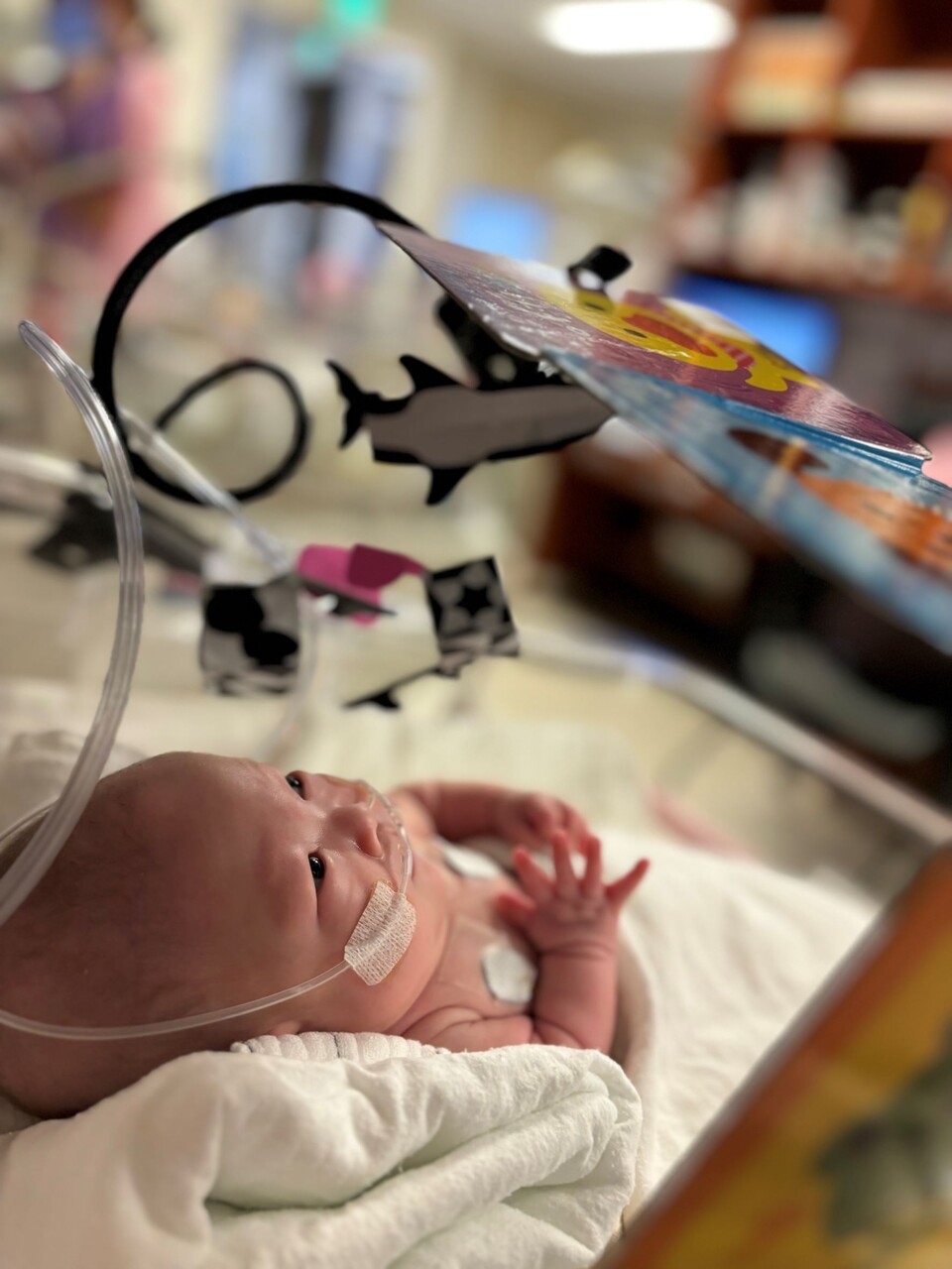 고비는 이겨낸 예랑이는 무럭무럭 자랐다.