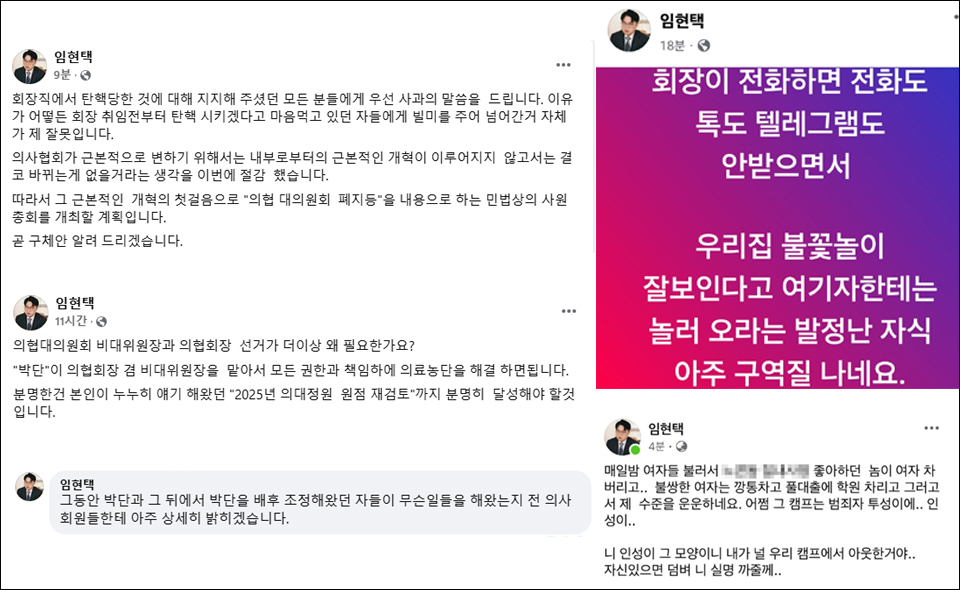임현택 전 대한의사협회장이 지난 12일부터 13일까지 페이스북에 올린 글들. 오른쪽 2개 글은 삭제된 상태다.