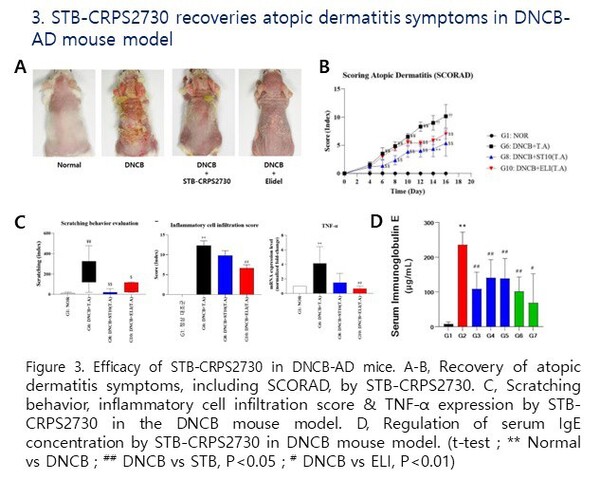 마우스 모델 아토피 피부염 개선 자료 (제공: 신테카바이오)