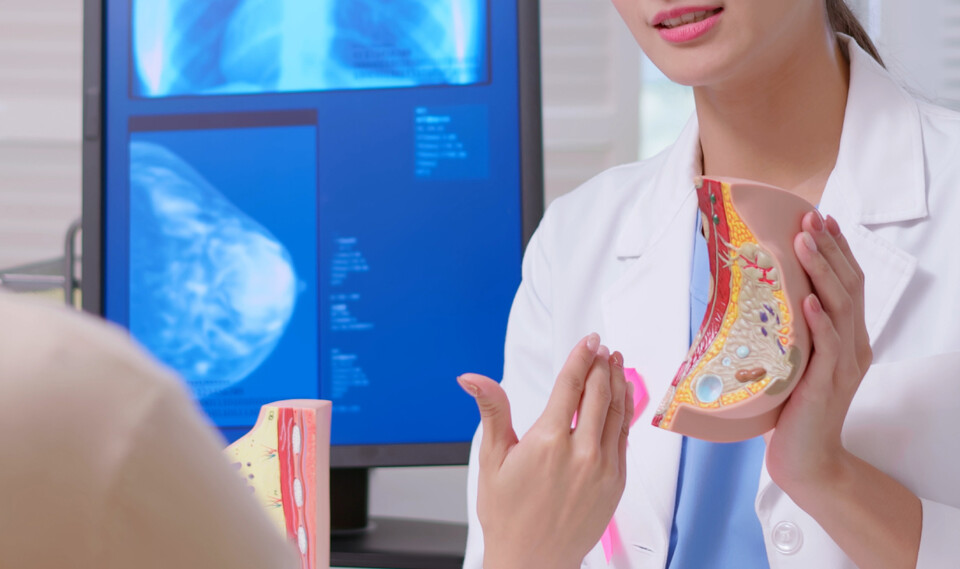 (사진 출처: 게티이미지).