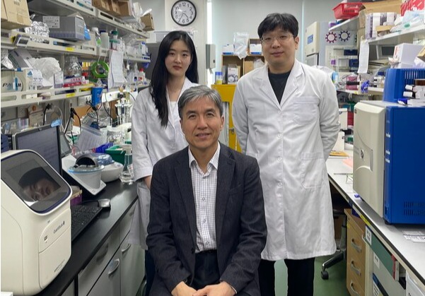 (왼쪽부터) KAIST 바이오및뇌공학과 이정은 연구원, 조광현 교수, 공정렬 박사(사진제공: KAIST).