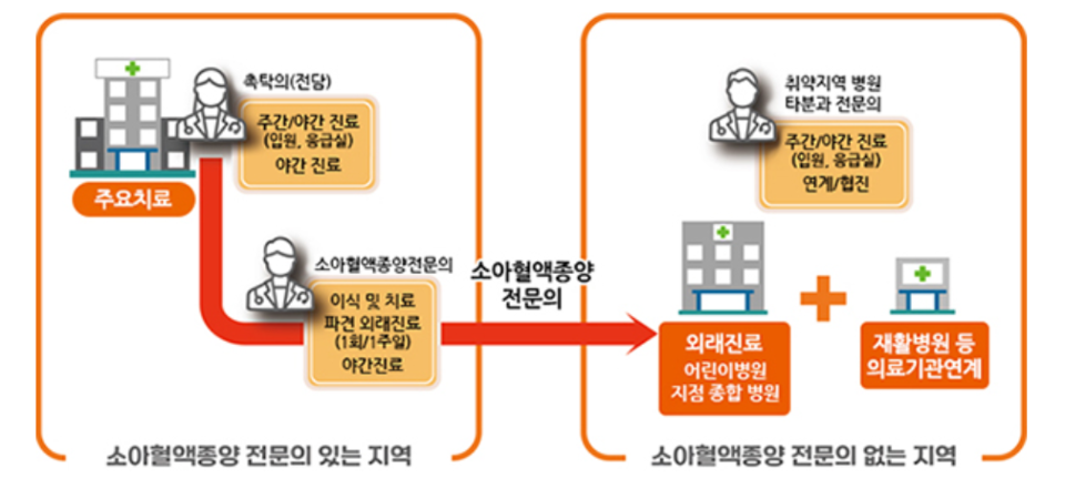 보건복지부의 ‘소아청소년암 진료체계 구축사업’ 타지역 지원형 모델 