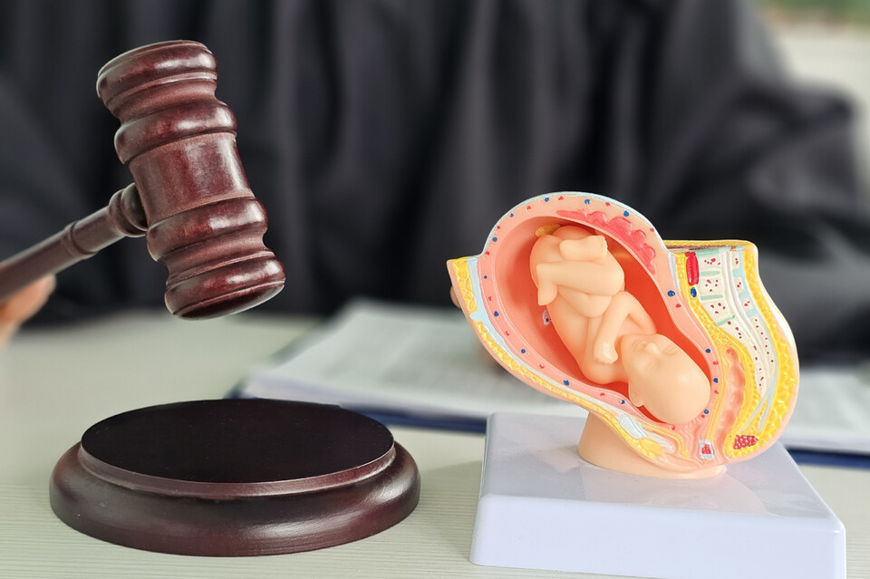 대한의사협회는 인공임신중절 합법화 법안에 대해 반대했다(사진출처: 게티이미지).