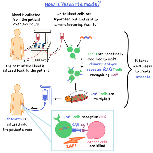 예스카타 제조과정(사진출처: UC Irvine Health (UCIR) 웹사이트)