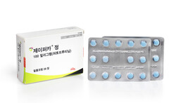 제이퍼카(사진제공: 한국