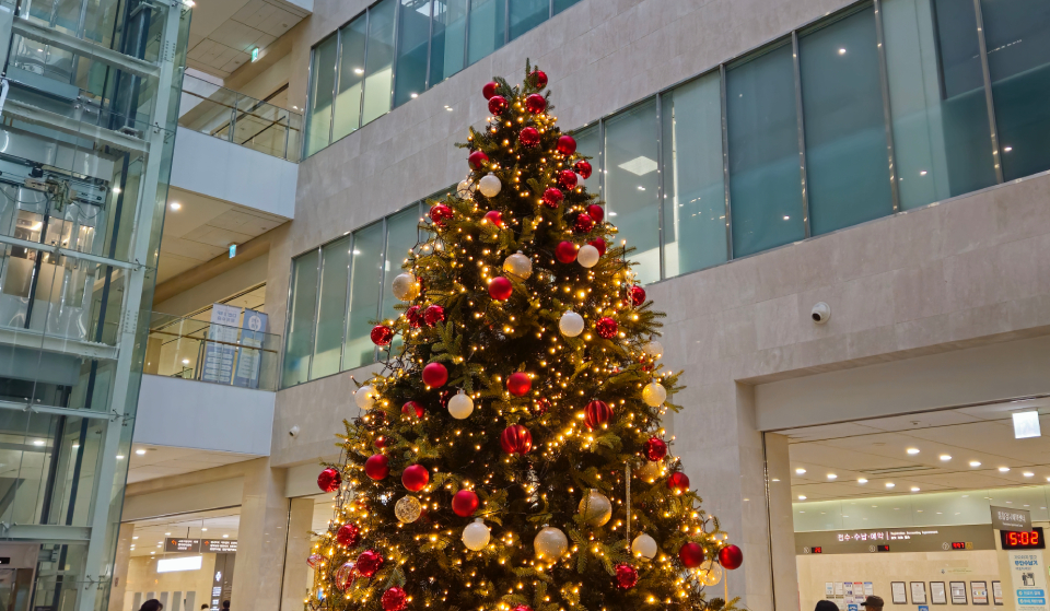 하이펙스 해운대 참석자들을 맞이한 해운대병원 본관 대형 트리(ⓒ청년의사).