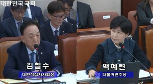 '尹 보은성 특혜' 의혹에 신천지 표창 <b>논란</b>까지…與, 적십자사 '질타'