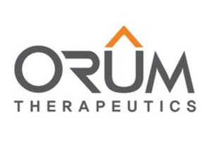 오름테라퓨틱, BMS 마일스톤 '순풍'...자체 임상 역량 내재화 시동 - 뉴스 썸네일 이미지